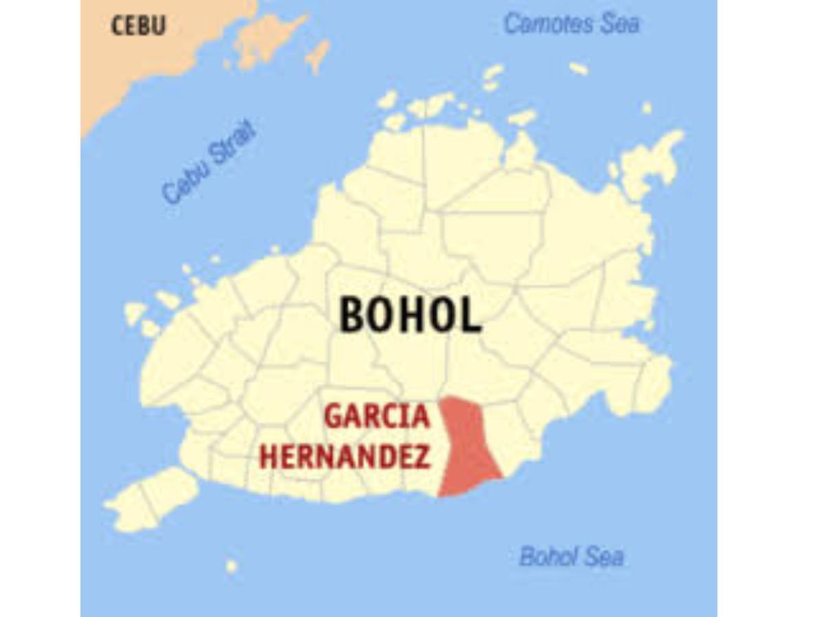 Bamboo Beachhouse Dormitory Garcia Hernandez المظهر الخارجي الصورة